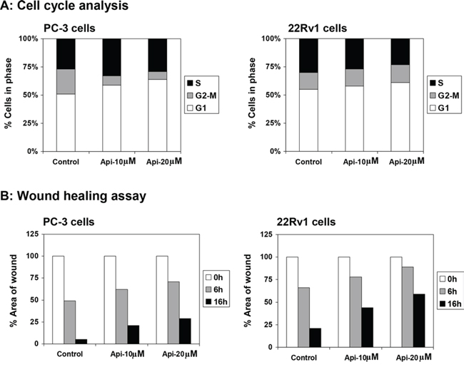 Effect of apigenin on DNA cell cycle and wound healing in prostate cancer cells.