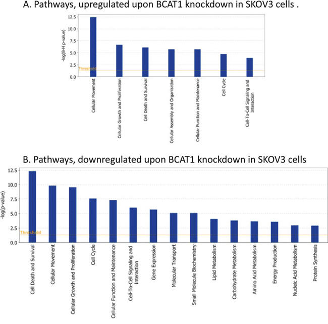 Functional analysis for a dataset of differentially expressed genes (&#x2265; 2-fold) following BCAT1 suppression in SKOV3 cells.