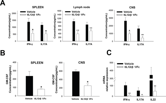 Suppression of related cytokines by tIL12r&#x03B2;1/Fc treatment.