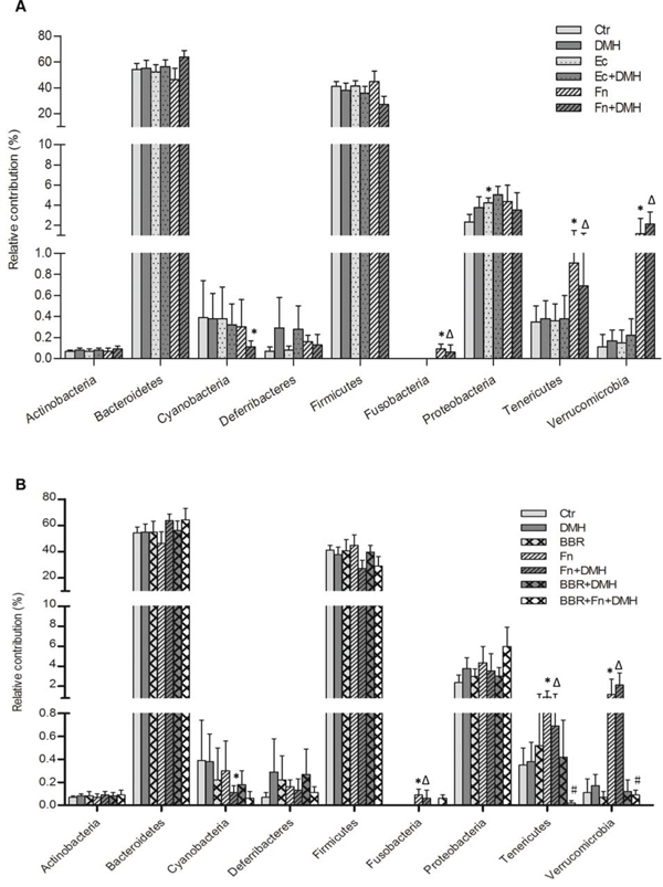 Lumen microbiota distribution at the phylum level in mice treated with A. bacteria or B. BBR.