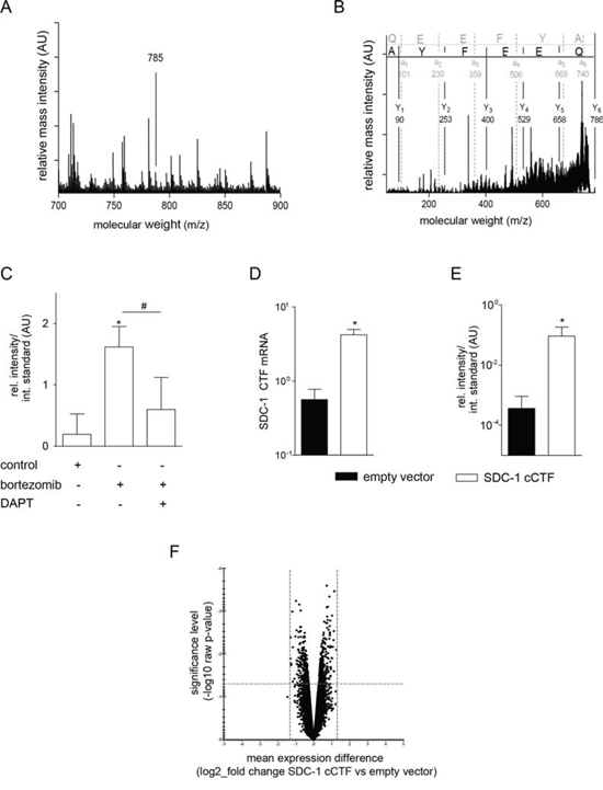 The syndecan-1 cCTF does not affect gene transcription.