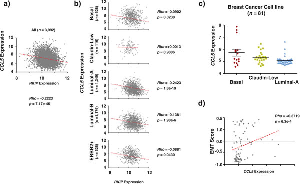 RKIP and CCL5 expression correlate inversely in breast cancer.