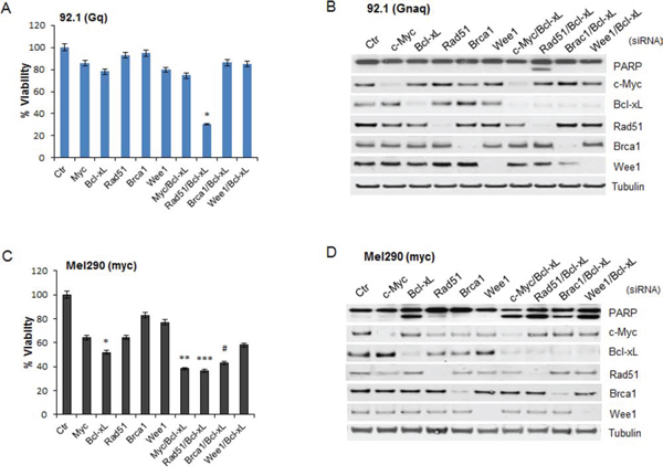 Effect of silencing of selected JQ1-regulated genes.