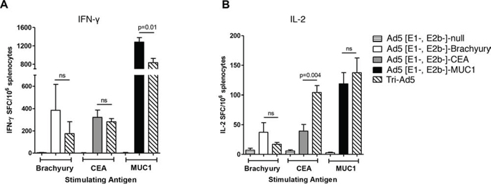 Analysis of IFN-&#x03B3;&#x2212; and IL-2&#x2212;expressing splenocytes following vaccination of mice with Ad5 [E1-, E2b-]- brachyury, Ad5 [E1-, E2b-]-CEA, Ad5 [E1-, E2b-]-MUC1, Tri-Ad5, or Ad5 [E1-, E2b-]-null.