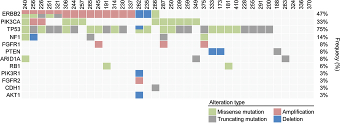 Heat map of patients with genetic alterations of 83 genes among 36 refractory MBC patients.