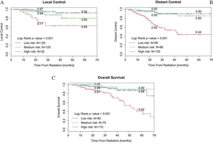 Kaplan-Meier curves for patients stratified by nomogram-predicted survival.