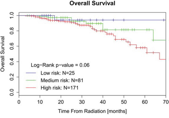 Kaplan-Meier curve of OS for patients stratified by &#x2018;tailored&#x2019; cut-off value.