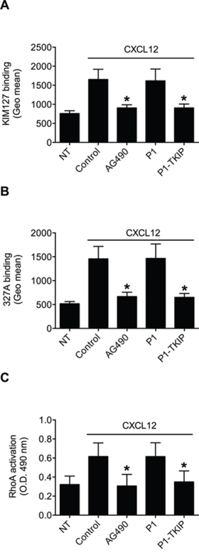 JAK2 mediates LFA-1 affinity triggering and RhoA activation by CXCL12 in B-lymphocytes.