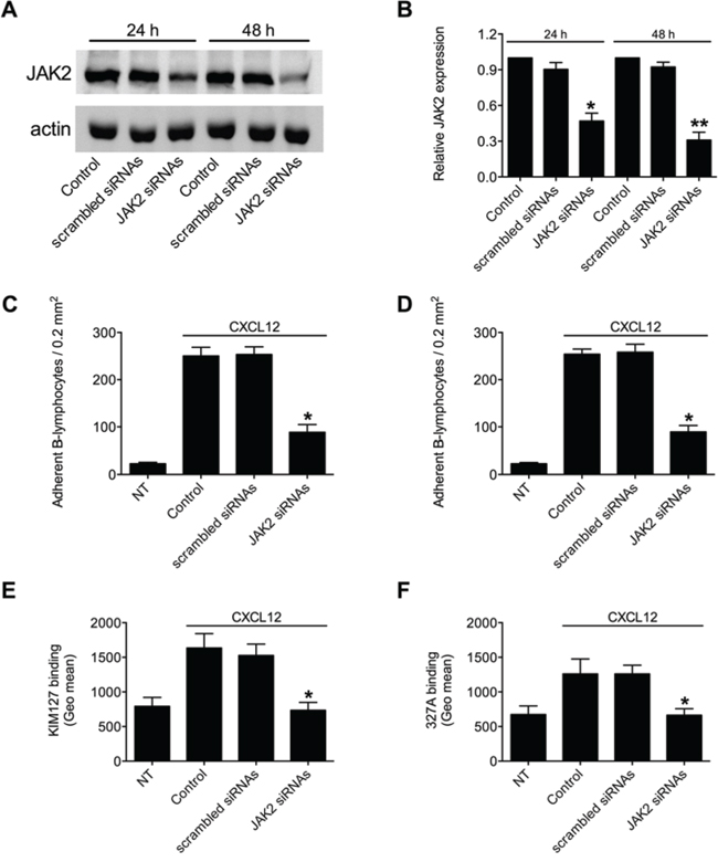 JAK2 down-modulation by siRNAs prevents chemokine-induced adhesion and LFA-1 affinity triggering.