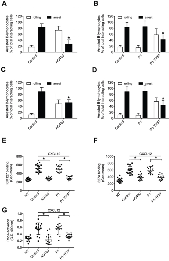 JAK2 mediates underflow adhesion, LFA-1 affinity triggering and RhoA activation by CXCL12 in CLL B-lymphocytes.