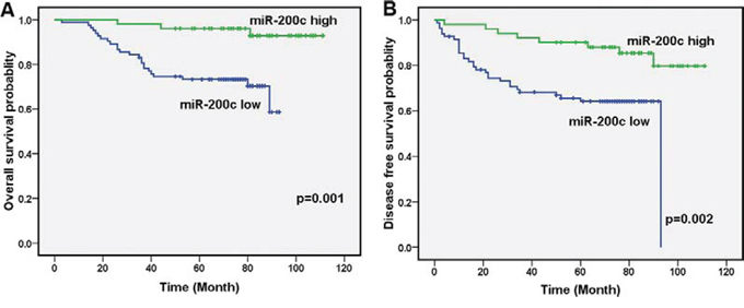 Decreased miR-200c levels are correlated with clinical stage, local relapse, distant metastasis and poor clinical outcomes.
