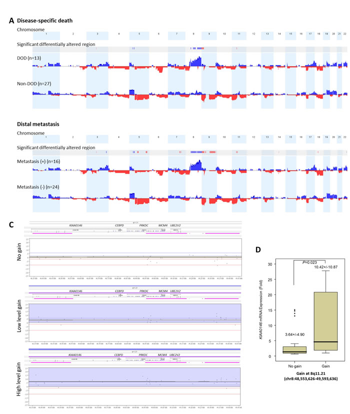 Profiling of genome-wide copy number imbalances in 40 samples with validation.