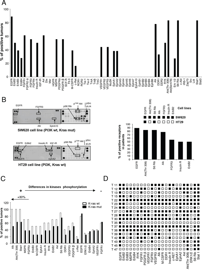 Expression of activated forms of RTKs and signaling mediators in human samples of colon cancer.