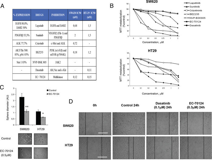 Pharmacologic screening and effect of EC-70124 on proliferation and migration.