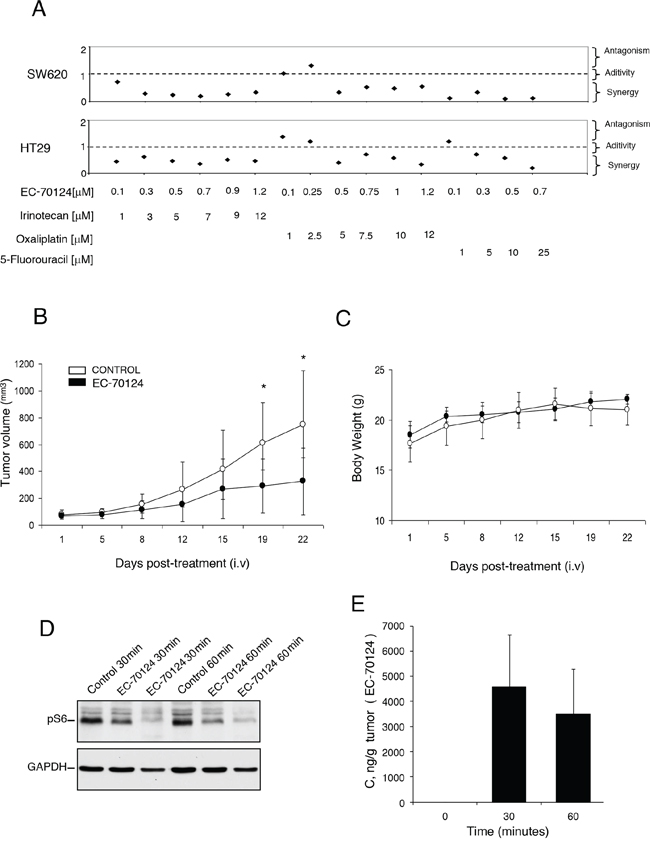 Combinational studies in vitro and in vivo antitumor action of EC-70124.