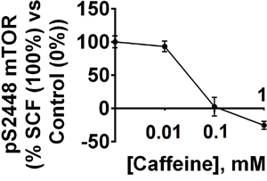 Dose-dependent effects of caffeine on SCF-induced Kit receptor-mediated intracellular pS2448 mTOR levels.