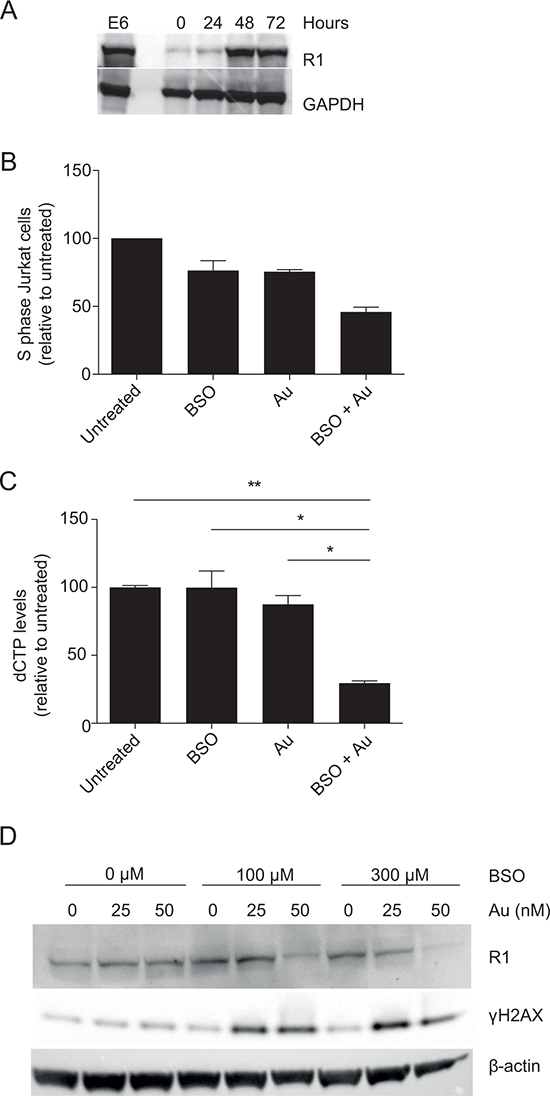 Inhibition of GSH and Trx impairs dNTP production and induces &#x03B3;H2AX.