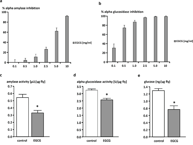 EGCG-dependent inhibition of &#x03B1;-amylase and &#x03B1;-glucosidase activity in vitro (a, b) and in vivo (c, d) and decrease of glucose levels in vivo (e).