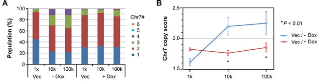 EFEMP1 suppressed the alteration of the cell subpopulation equilibrium