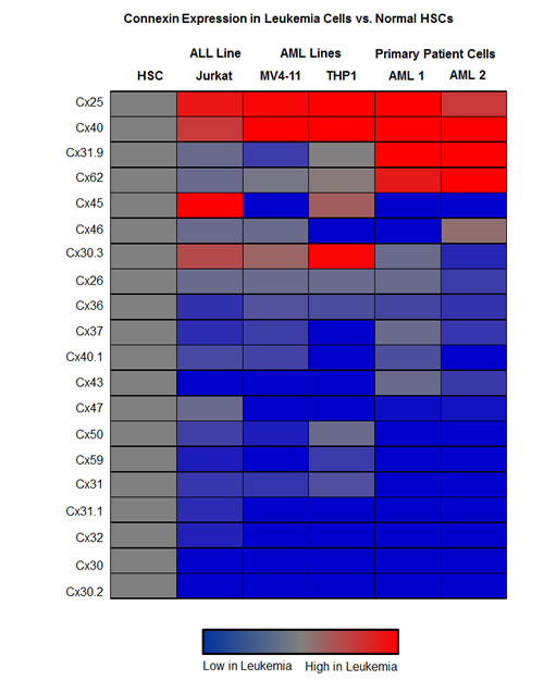 qRT-PCR analysis of connexin expression in leukemia.