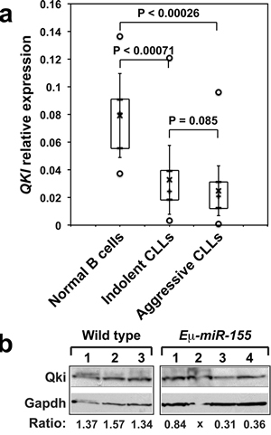 Figure 6: