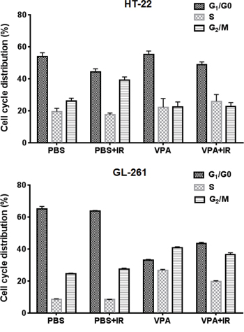VPA treatment induces G2/M accumulation in cancer cells.