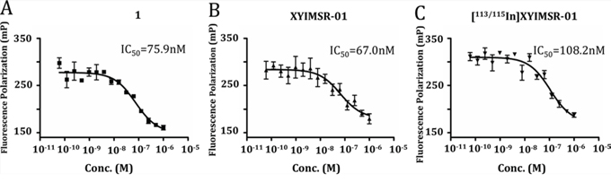 Compounds 1, XYIMSR-01 and [113/115In]XYIMSR-01 demonstrate high binding affinity to CAIX.