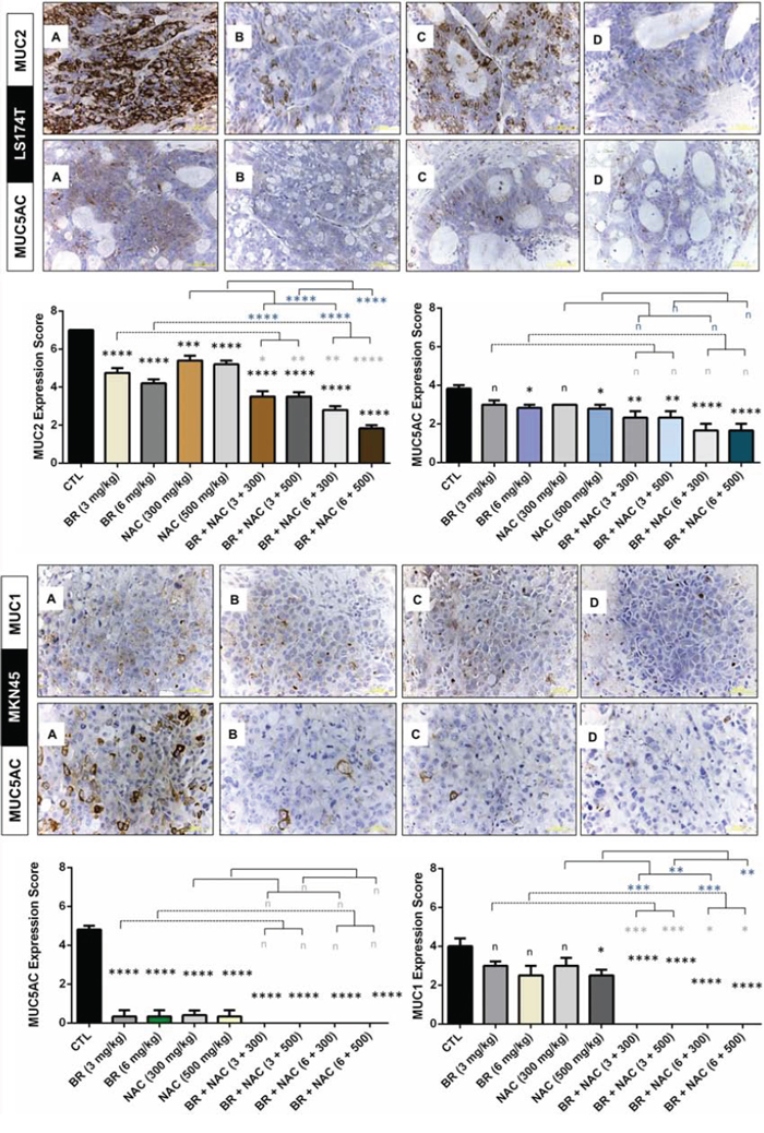 Immunohistochemical analysis of the expression of MUC1, MUC2 and MUC5AC in the studied gastrointestinal cancer xenografts.