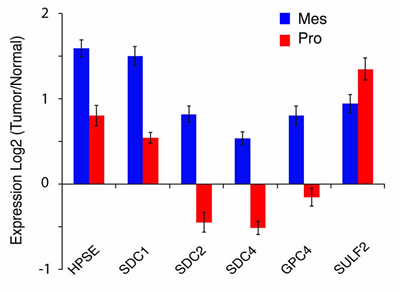 FIGURE 4: Subtype-specific alterations in the expression of HSPGs and HSPG modifying enzymes in GBM.