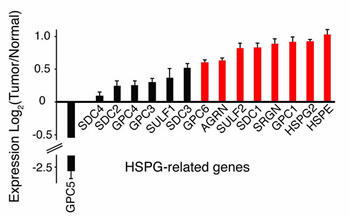 FIGURE 2: Altered HSPG-related gene expression in human GBM.