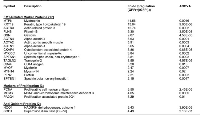 Table-2