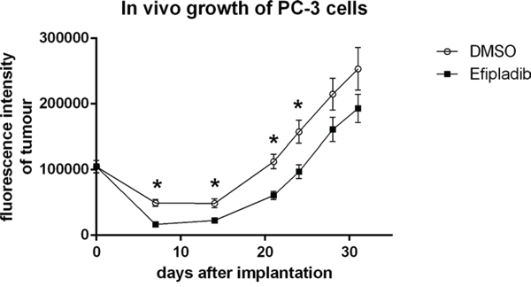 The impact on tumorigenic capacity after Efipladib treatment during cell cycle re-entry.