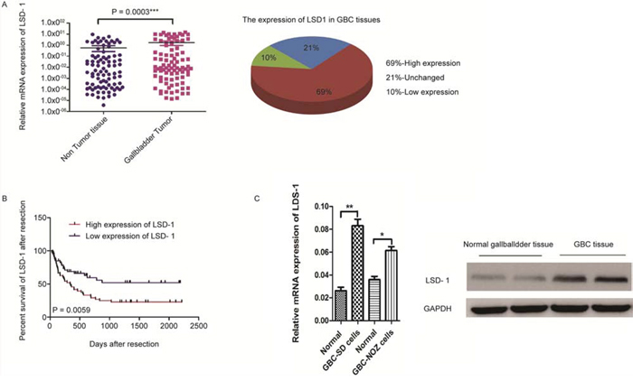 Baseline characteristics and overall survival of patients in 109 paired GBC tissues.