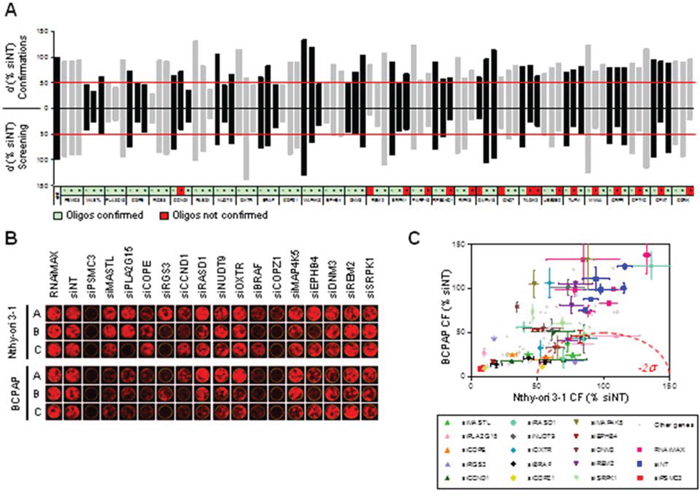 Confirmation of differentially active hits.