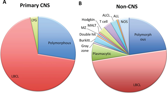 Primary CNS and non-CNS PTLD were predominantly large B-cell lymphomas.