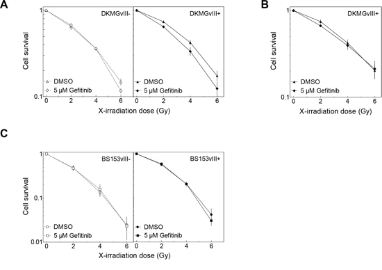 Effect of gefitinib on radiosensitivity.