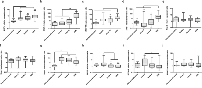 Expression profiles of MMPs, TIMPs and RECK variants in astrocytomas of different grades.