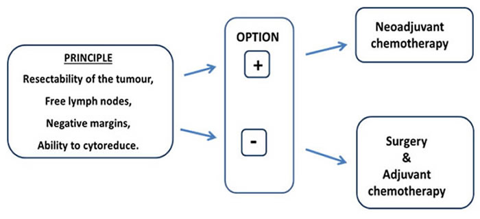 Principle of neoadjuvant chemotherapy strategy