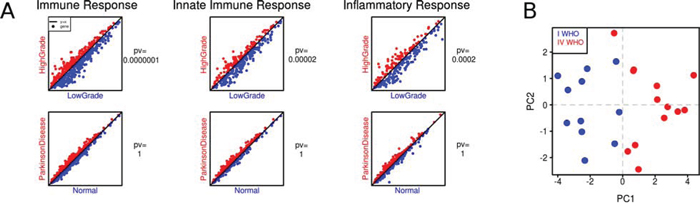The expression of immune/innate immune/inflammatory response genes in low and high grade gliomas.