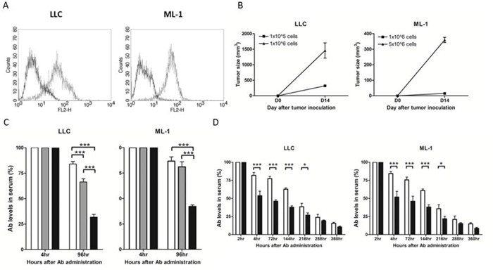 The level of anti-ENO1 Ab in sera of mice challenged with tumor cells or administered with soluble ENO1.