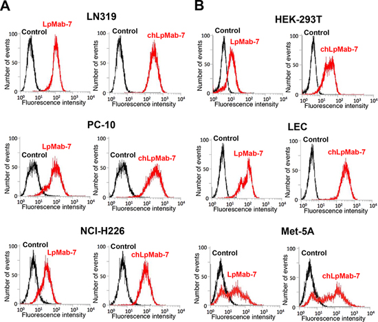 Flow cytometry of endogenous hPDPN-expressing cell lines using anti-hPDPN antibodies LpMab-7 and chLpMab-7.