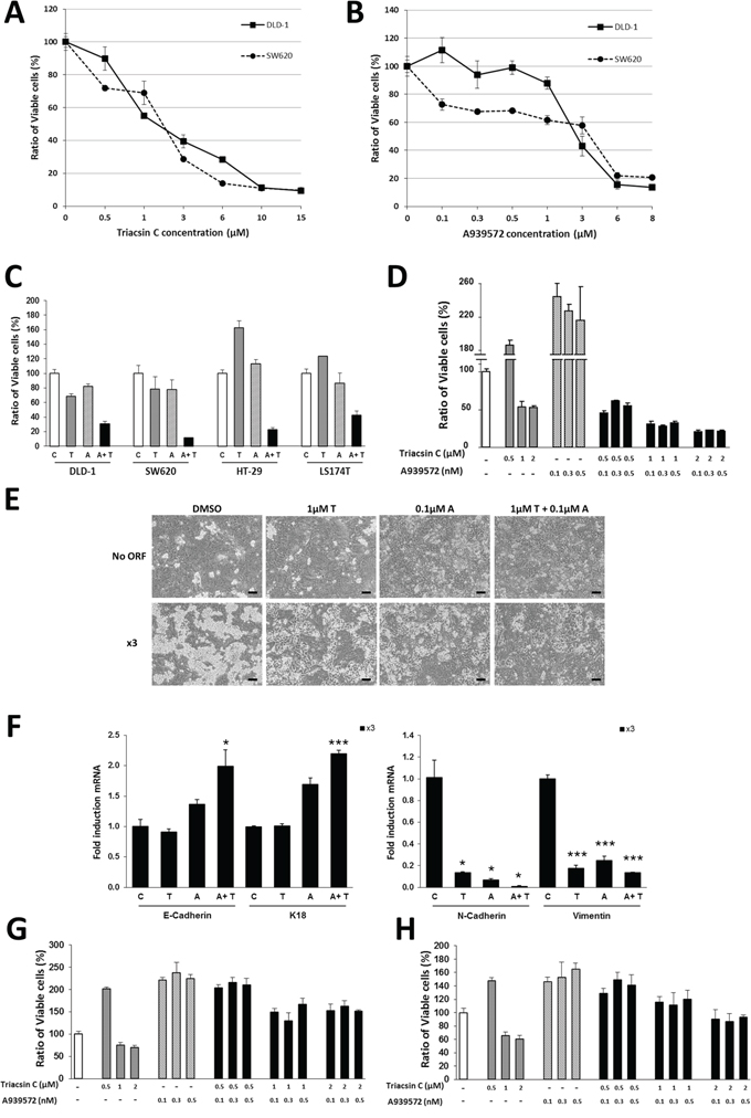 Synergistic effect of ACSL and SCD inhibitors on CRC cells.