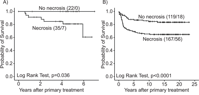Estimated survival among endometrial carcinoma patients according to tumor necrosis.