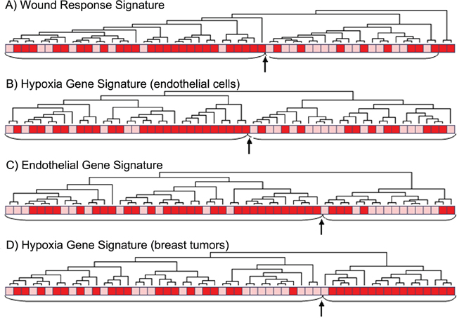 Clustering of tumors with (red) or without (pink) tumor necrosis using different gene signatures.