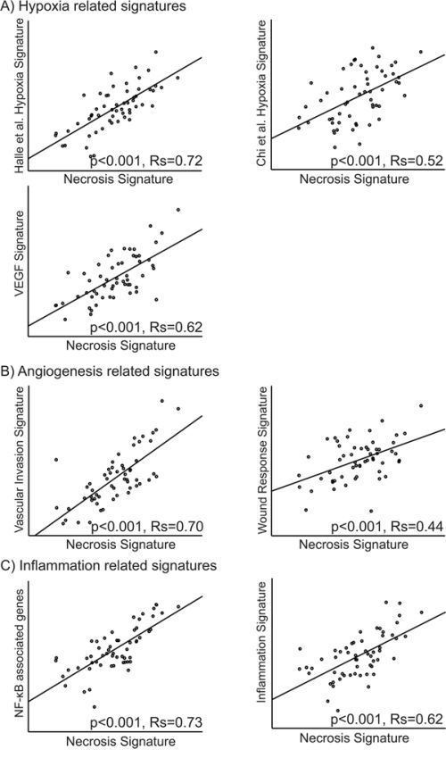 Correlation between the necrosis signature and signatures related to A. hypoxia [22, 23, 74], B. angiogenesis [29, 31] and C. inflammation [32, 33]. The Spearman rank correlation test was used for bivariate correlations.