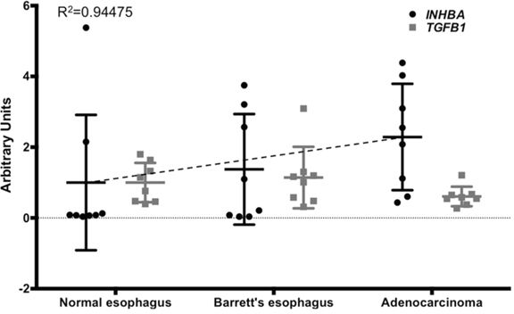 INHBA expression levels increase during the progression from normal esophagus to Barrett&#x0027;s esophagus and esophageal adenocarcinoma.