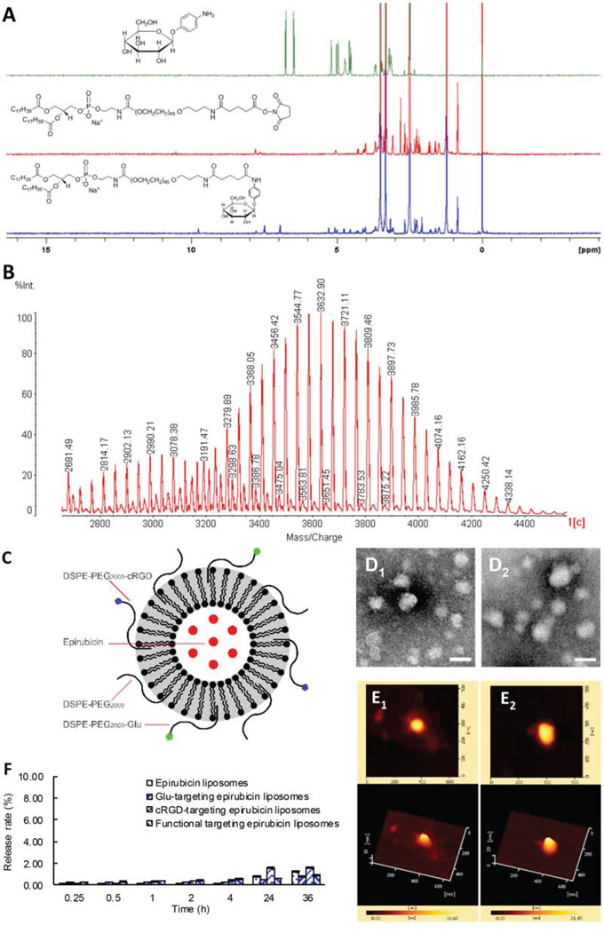 Characterization of targeting molecules and liposomes.