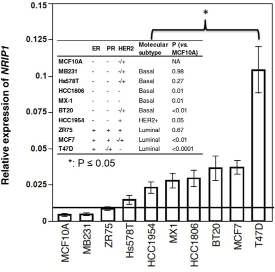 NRIP1 expression elevated in most breast cancer cell lines.