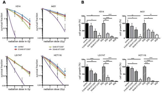 Clonogenic survival assays.