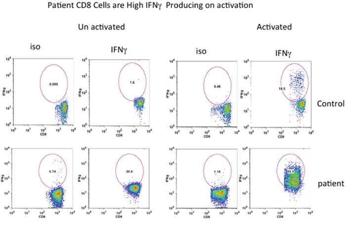 Intracellular IFN-&#x03B3; in CD8&#x002B; T cells.